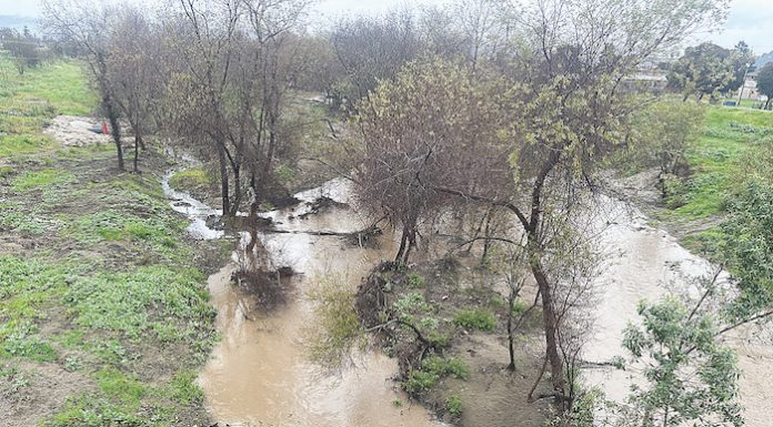 Padilla, Schiff secure $54M for Pajaro River Levee LEVEE MONEY The Pajaro River meanders through a course of trees and brush near downtown Watsonville.