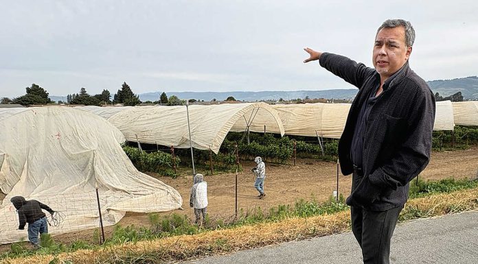 Adam Scow, who leads the nonprofit Campaign for Organic and Regenerative Agriculture (CORA), points to a strawberry field directly adjacent to Ann Soldo Elementary School as he discusses the pesticides used there.