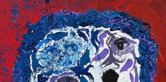 Countryside arts festival starts up