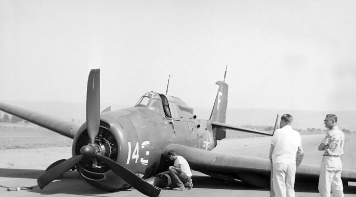 From Our Archives: Rough Landing