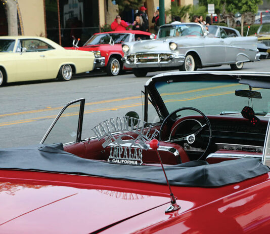 Photo story: Cruise Night