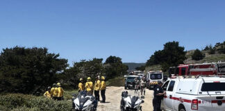 Man dies in solo-vehicle crash north of Santa Cruz