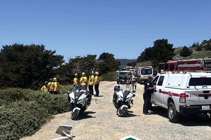 fatal hwy 1 (1)
