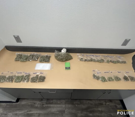 Pair arrested with marijuana after chase, crash