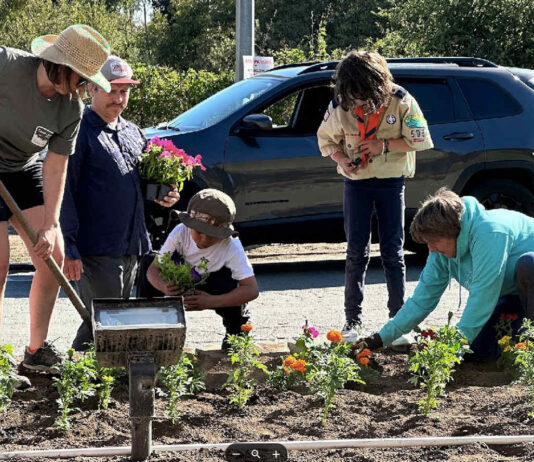 Community invited to plant fairground flowers
