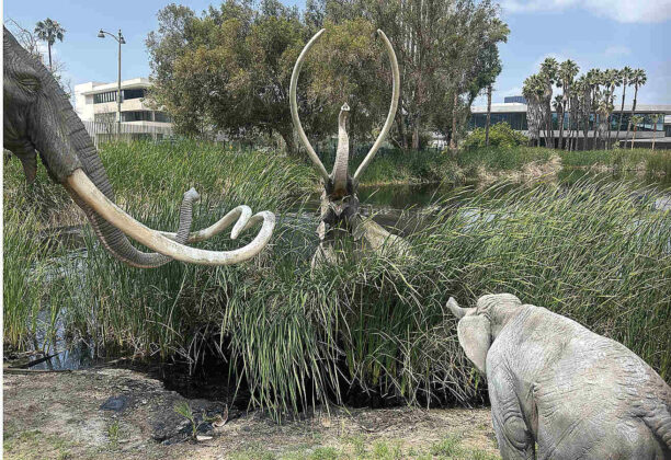 The La Brea Tar Pits and Museum in Los Angeles is still an active paleontological research site. (Tarmo Hannula/The Pajaronian)