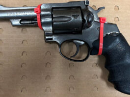 Bike stop leads to gun arrest
