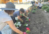 Photo story: Adding color at the fairgrounds with flowers