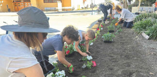 Photo story: Adding color at the fairgrounds with flowers