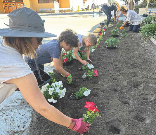Photo story: Adding color at the fairgrounds with flowers