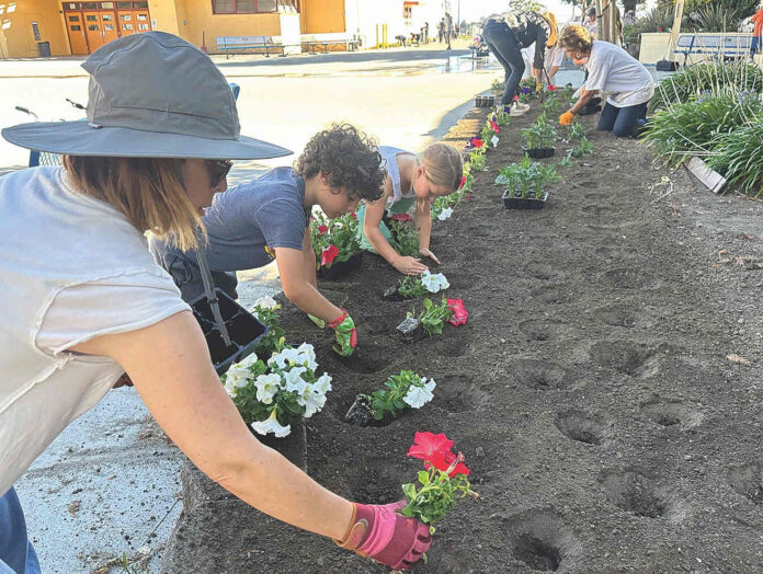fair planting
