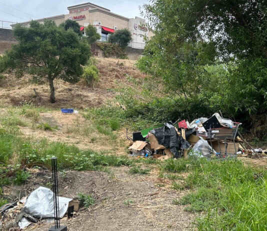City Council approves no-encampment zones