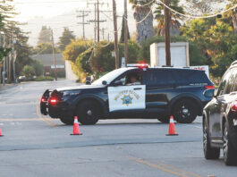Homemade bomb shuts down Freedom Boulevard