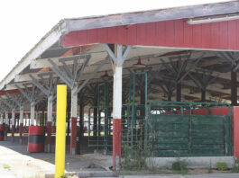 Fairgrounds to demolish sheep and pig livestock barns