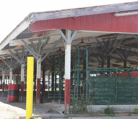 Fairgrounds to demolish sheep and pig livestock barns