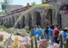 Taking in the arts, history and birds south of Los Angeles
