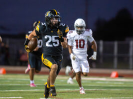 ‘Catz pounce on NMC for “much-needed” win | High school football roundup