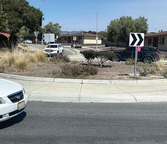 Artwork slated for Clifford Avenue traffic circle