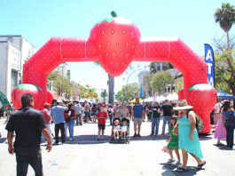 Thousands fill Watsonville for Strawberry Festival