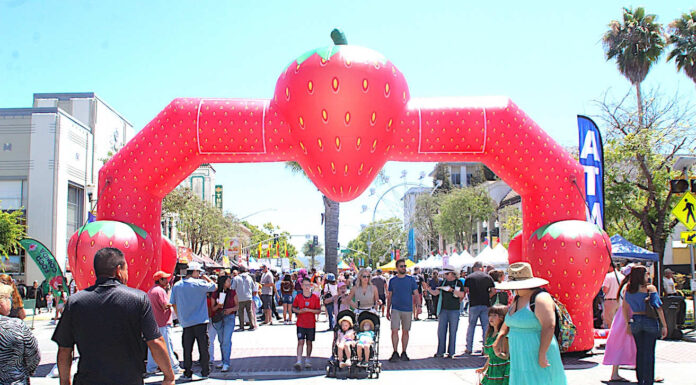 Thousands fill Watsonville for Strawberry Festival