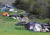 In 2024, a string of tents and makeshift shelters lined the Pajaro River levee in Watsonville. (Tarmo Hannula/Pajaronian file)