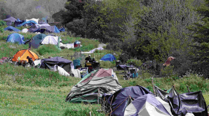 Annual homelessness census shows slight increase In 2024, a string of tents and makeshift shelters lined the Pajaro River levee in Watsonville. (Tarmo Hannula/Pajaronian file)