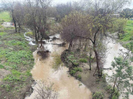 PRFMA eyeing potentially wet El Niño season