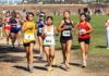 Local prep cross country teams stay on course near the midseason point