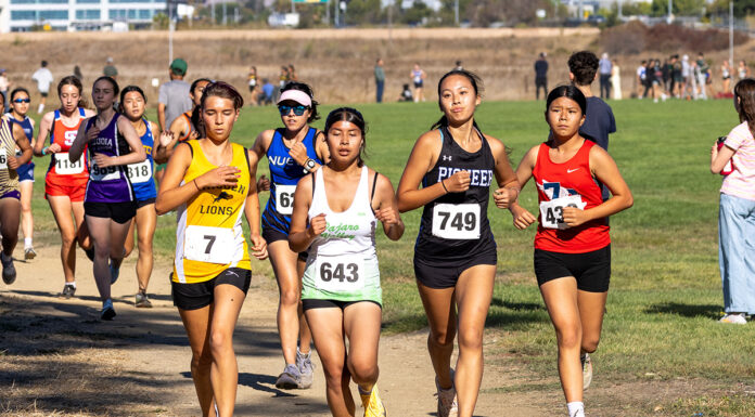Local prep cross country teams stay on course near the midseason point