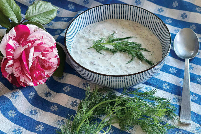 Mix Bowl, persian soup