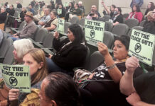 Watsonville City Council limits Flock cameras