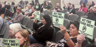 Watsonville City Council limits Flock cameras