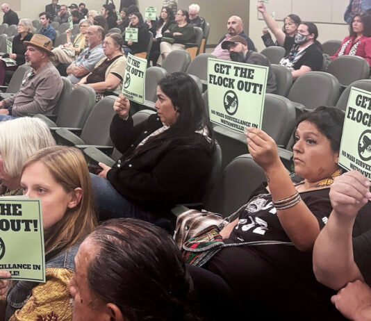 Watsonville City Council limits Flock cameras