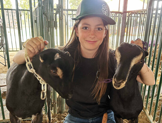 kid with goats at fair