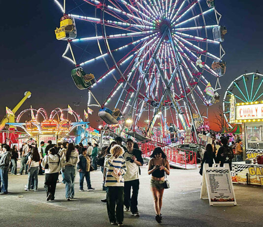 county fair at night