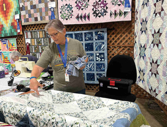quilt lady fair