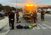 Photo story: Hit-and-run driver injures woman