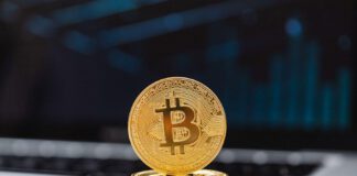 What Americans Actually Do With Cryptocurrency
