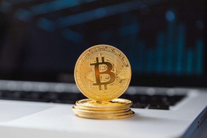 What Americans Actually Do With Cryptocurrency