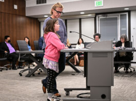 Concerns over playground surfacing reach city council