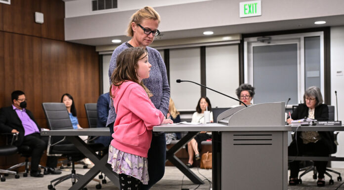 Concerns over playground surfacing reach city council
