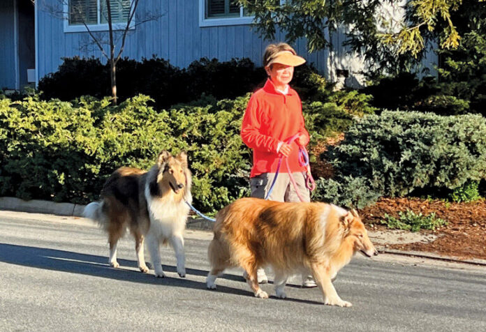 Bernadine Chuck Fong, walking her collies Linus and Lucy, is currently serving as interim president of Foothill College.