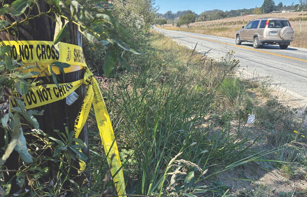 Larkin Valley murder