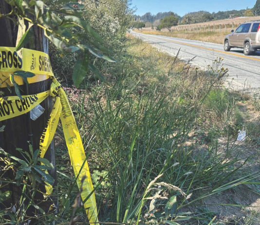 Body found on Larkin Valley Road Larkin Valley murder