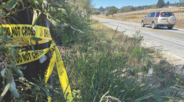 Body found on Larkin Valley Road Larkin Valley murder