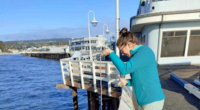 UCSC finds new detection technique for toxic algal blooms