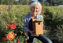 Jo Ann Baumgartner