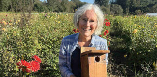 Jo Ann Baumgartner