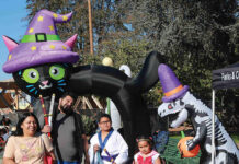 Photo story: Candy Crawl
