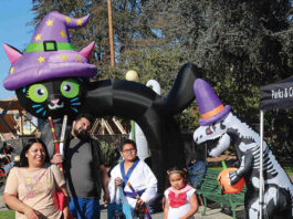 Photo story: Candy Crawl